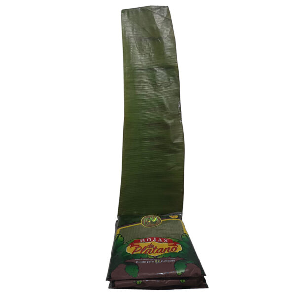Hojas de Plátano